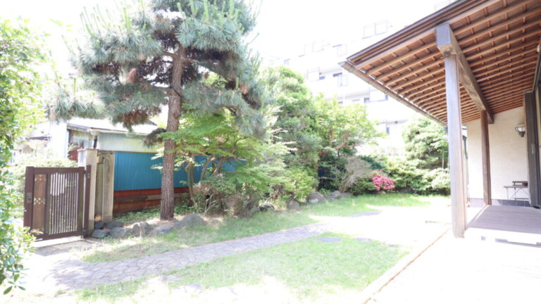 庭の緑に癒されます。 癒される和風の庭