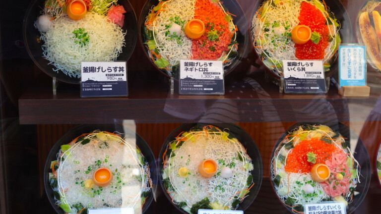 人気店とびっちょのしらす丼 人気店とびっちょのしらす丼