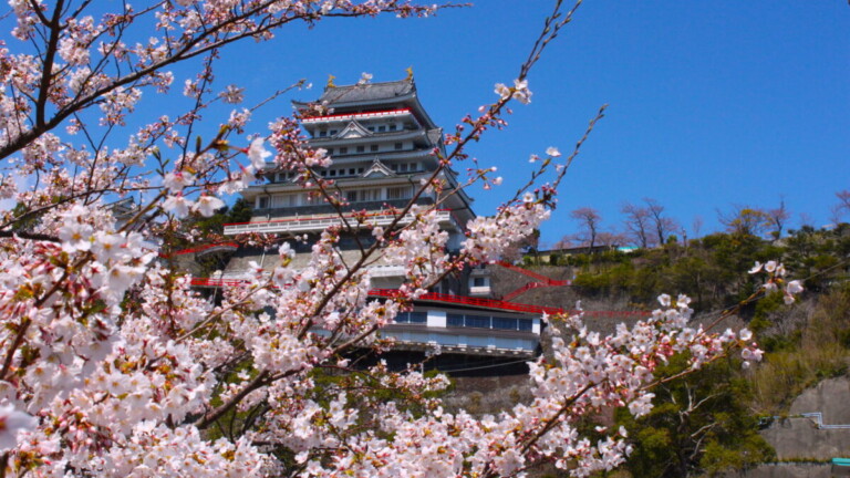 熱海城ととても綺麗な熱海の桜