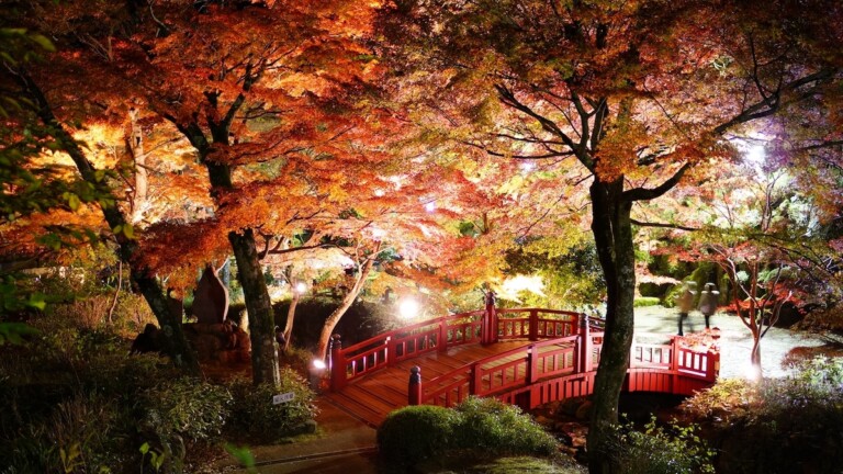熱海梅園の紅葉 紅葉が綺麗な熱海梅園