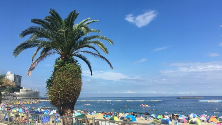 海水浴シーズン 海水浴の客で賑わう熱海サンビーチ